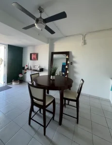 Apartment next to SJU airport - 4