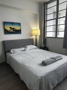 Condado One Bed Room Apartment_4