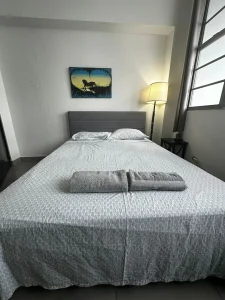 Condado One Bed Room Apartment_6