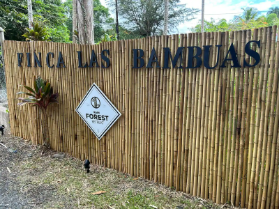 Finca Las Bambuas1
